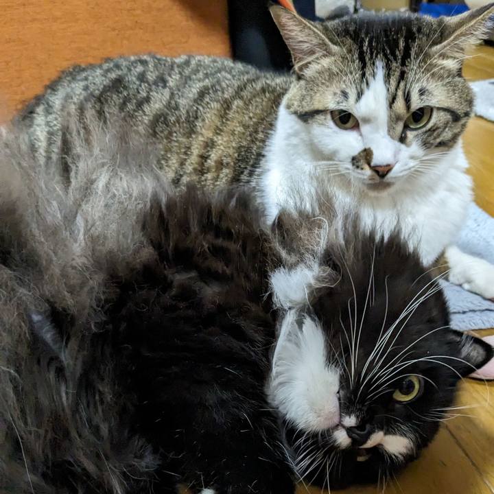 F13f2a8c a954 4a58 a00a 3a3ee724b1fa 1701338652249