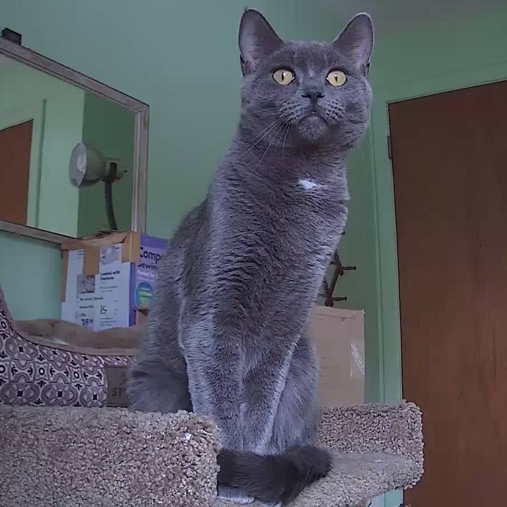 F13f77f7 67f9 4202 a552 0d21d316aa3a 1632874186763