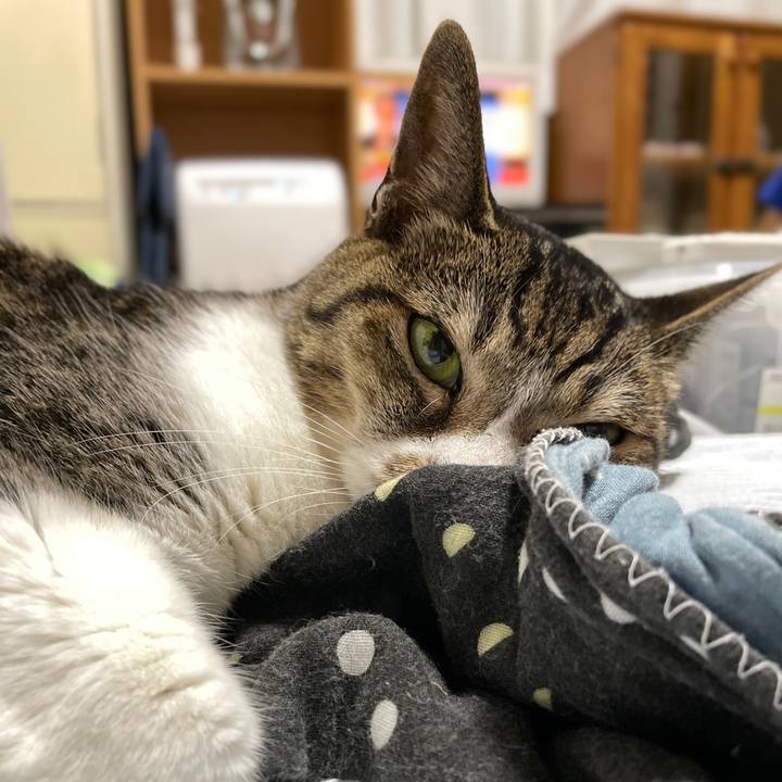 F13f78bb cca7 4a01 b8a4 3ad2ce5ea30a 1660445044191