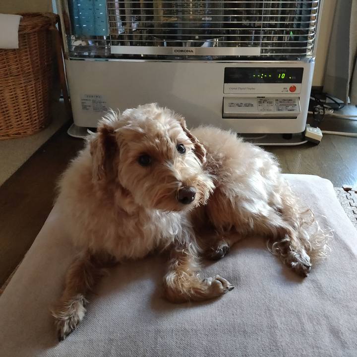 F13f8575 23e9 4294 b50f 9ea12dba8aab 1604961144495