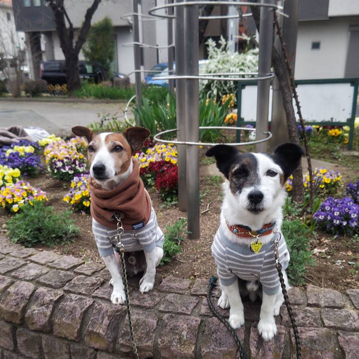 F13fa4db 76e3 492b b259 5164809cbd10 1774389062408