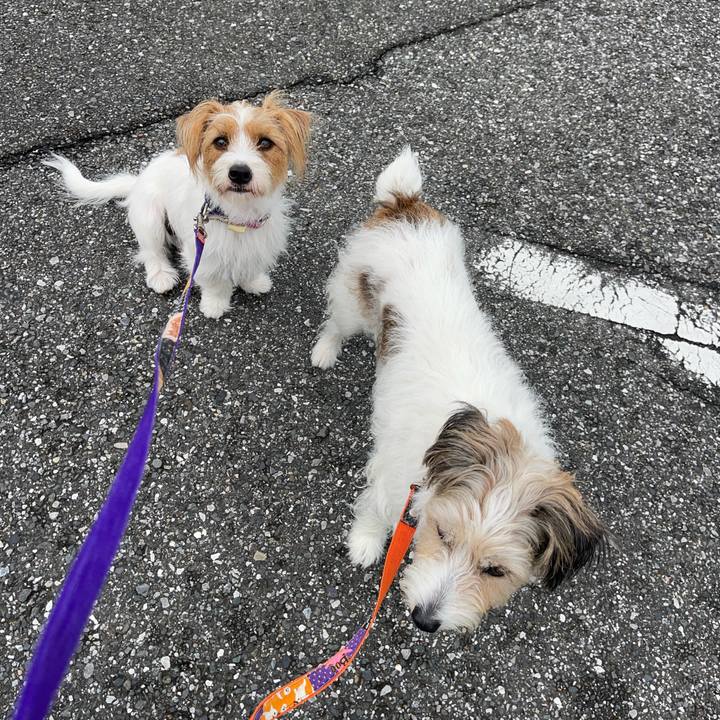 F13fabca b78e 411c 8e8f 8eef5e6dc75f 1760615946204