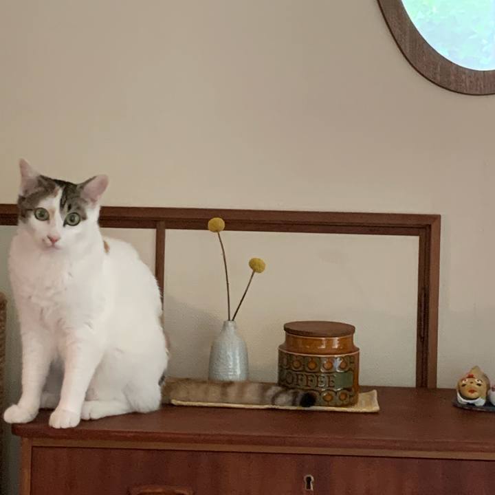 F1402e38 746a 46df 9bf2 82cd6be0af96 1623977218231