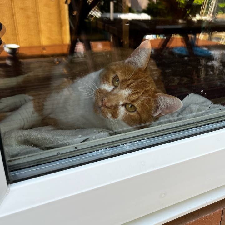 F1408bee e6a6 4cab 82ed 1bc58e8837f7 1718081952852