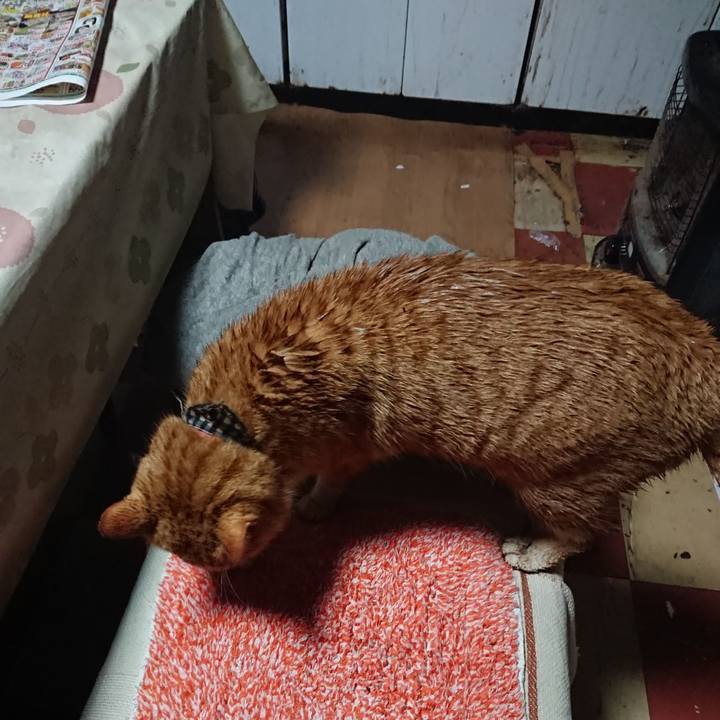 F140a045 50a2 4681 8a6f 5daca98fad04 1576106246649