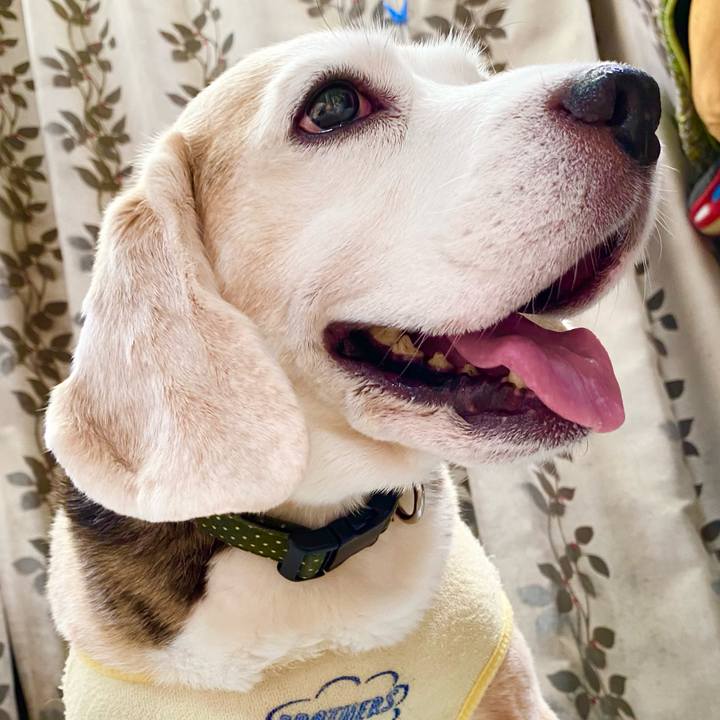 F140b2a5 621a 4330 be71 d1e8a59a8cac 1662874301254