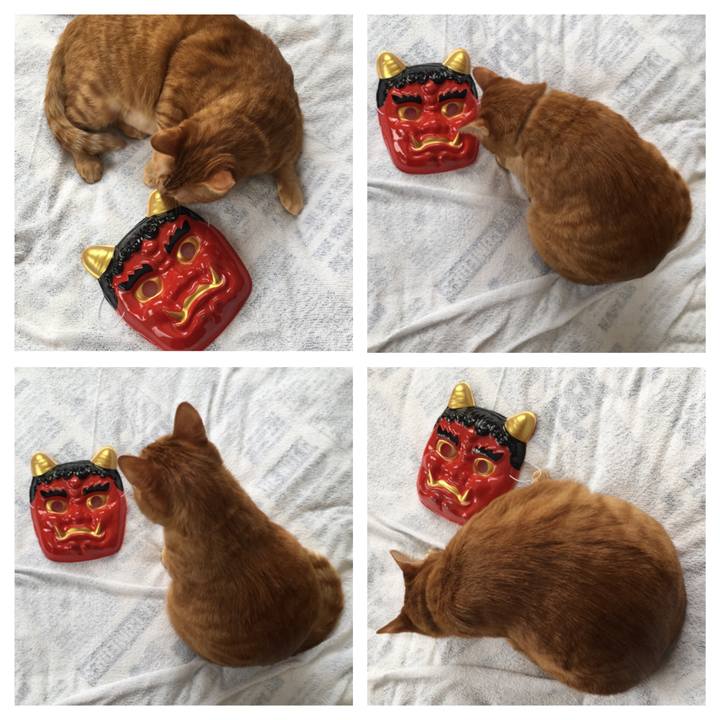 F140ea2d 3f49 4a36 bde0 9cc1a3bcbccd 1547953917713