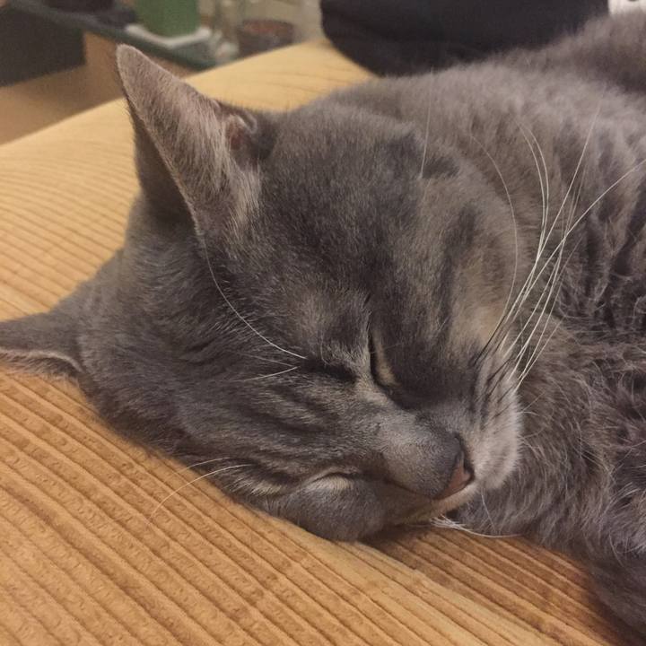 F1412cfd 6119 4709 b722 e5c1e8b91749 1530973485874