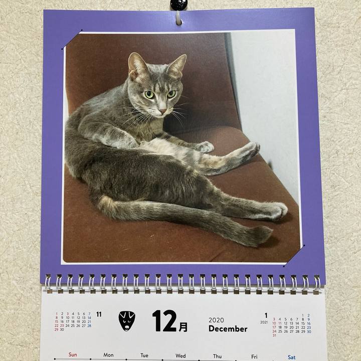 F141316c faeb 496a b3e9 792b62408d73 1607696504315