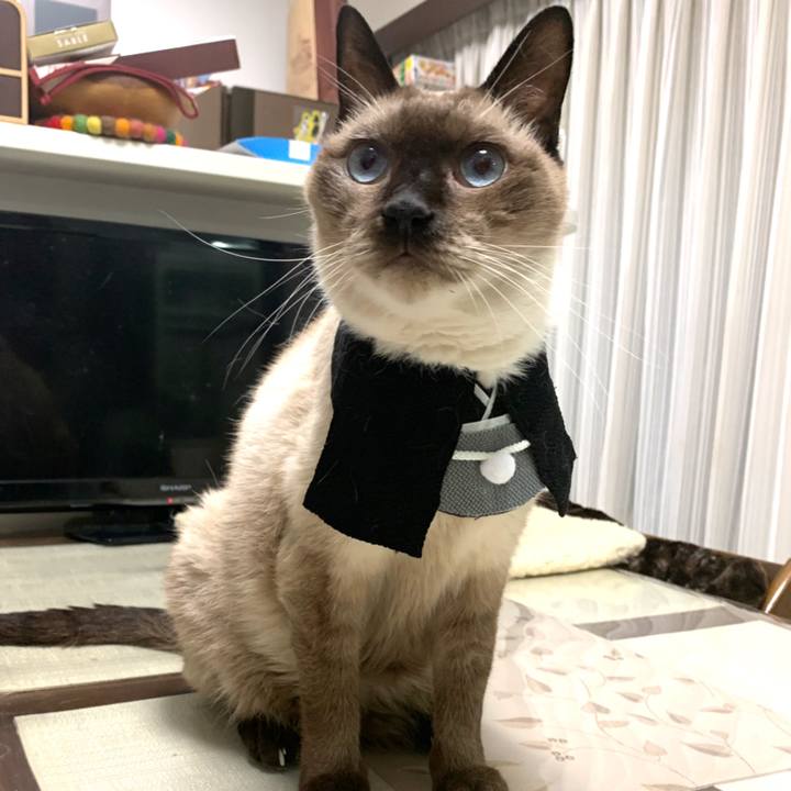 F141525c 0f83 4490 b562 c8c41e9b7df3 1571702994553