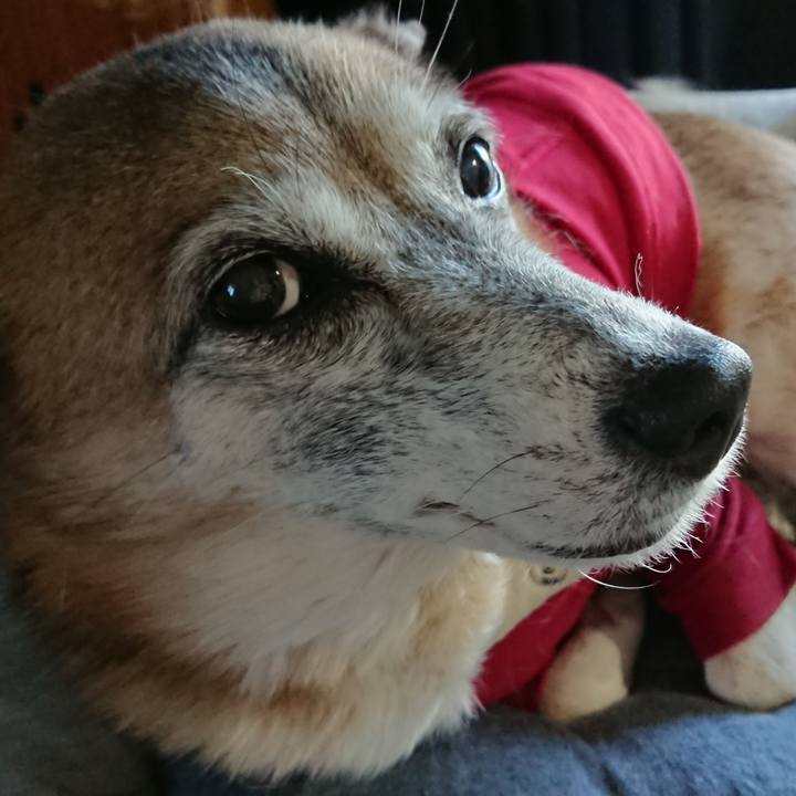 F14166ce 1f9e 4865 a393 26a08f2c3e5a 1608185389008