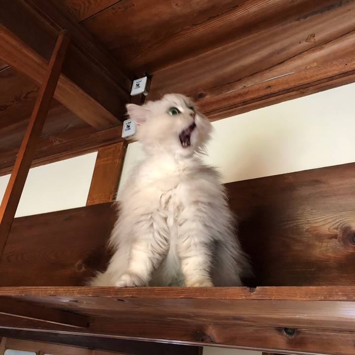 F1416b24 7584 4665 87a9 7f9857f85394 1557124091580