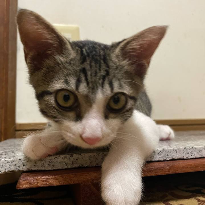 F1418b7f fdb1 42c6 be8d 09d908292645 1723388914217