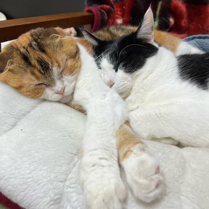 F1419bf2 1123 4f3f 84f5 07288b62381f 1680876755301