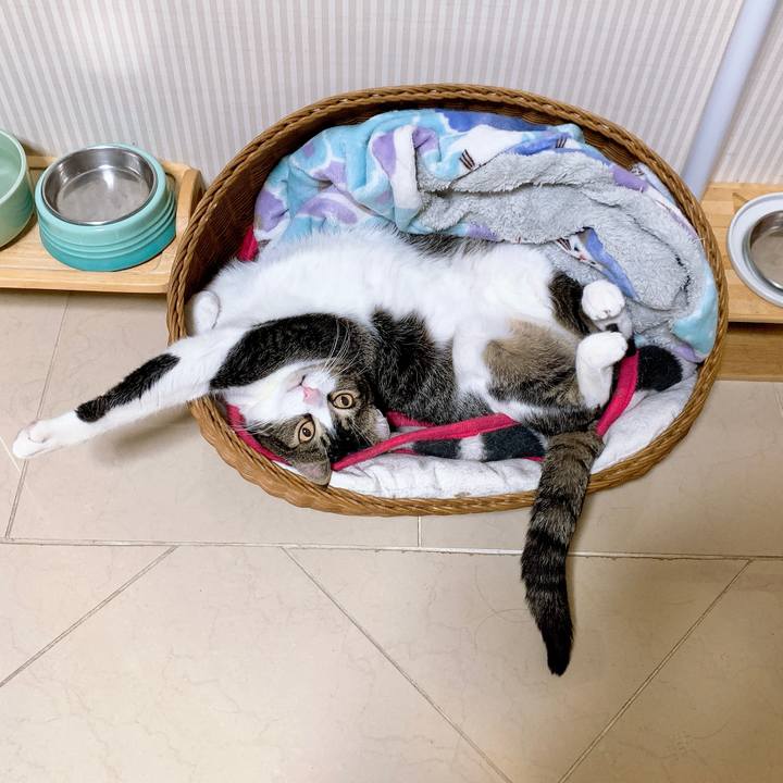 F141b8d7 214d 49b8 bbfd f9dba424a401 1604414763608