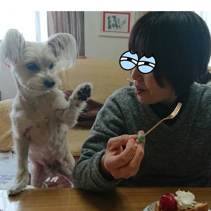 F141e8d7 fba0 4247 8c5c 1fbe78ae9e32 1519552651772