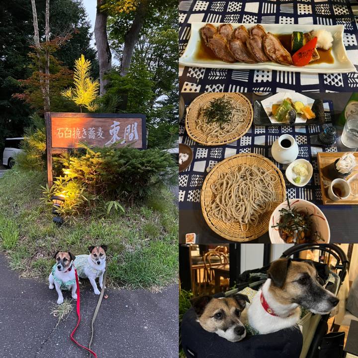 F142368b 8a6c 4fe2 9694 c52446a178f4 1692699368333