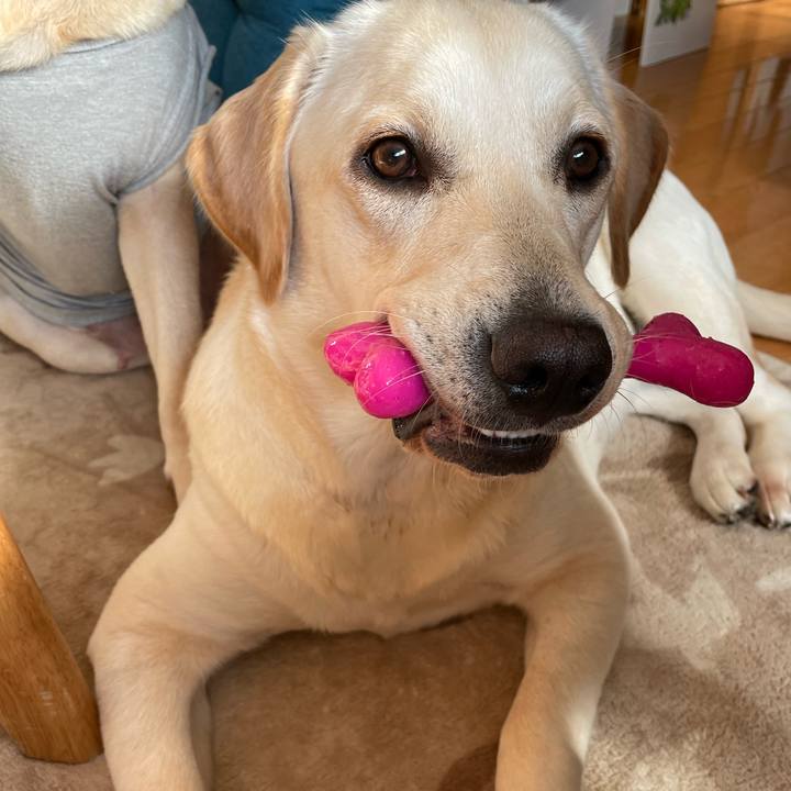 F1427c83 369f 4c38 93c0 711f00a6e05a 1636852964479