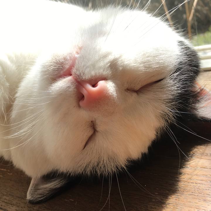 F142840e 1a84 4431 8e57 1189d7983a36 1554382318311