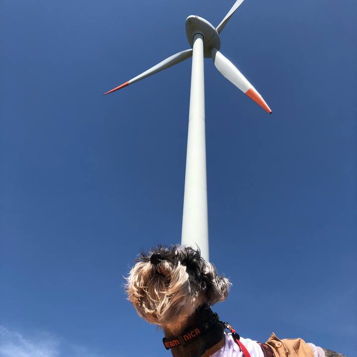 F143055f d2d3 4a13 9e6c 440bba0b15cf 1529227071647