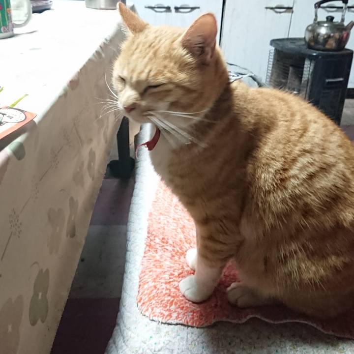 F143106a 7737 48a7 b3e1 fecc55f44565 1575152547413