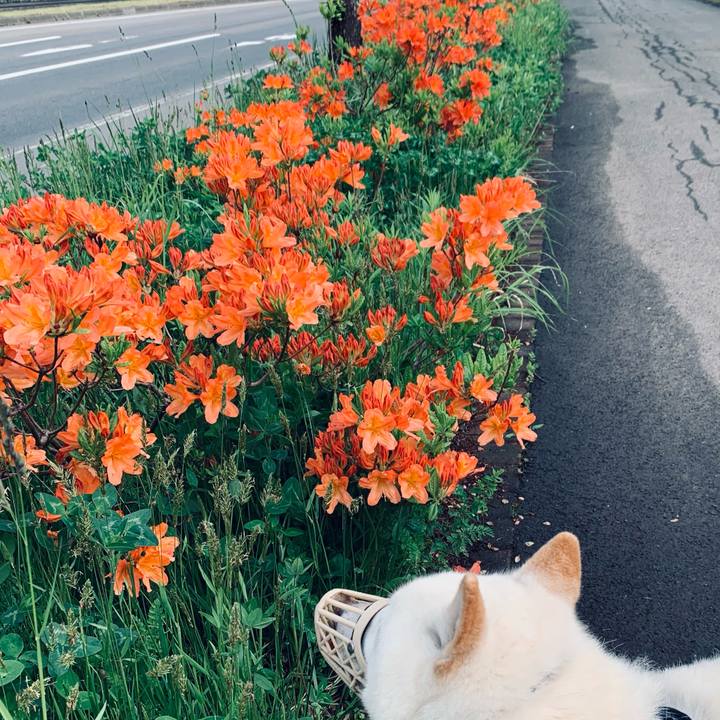 F1431612 f149 4f02 bbe2 8f9822a7b85c 1622323998966