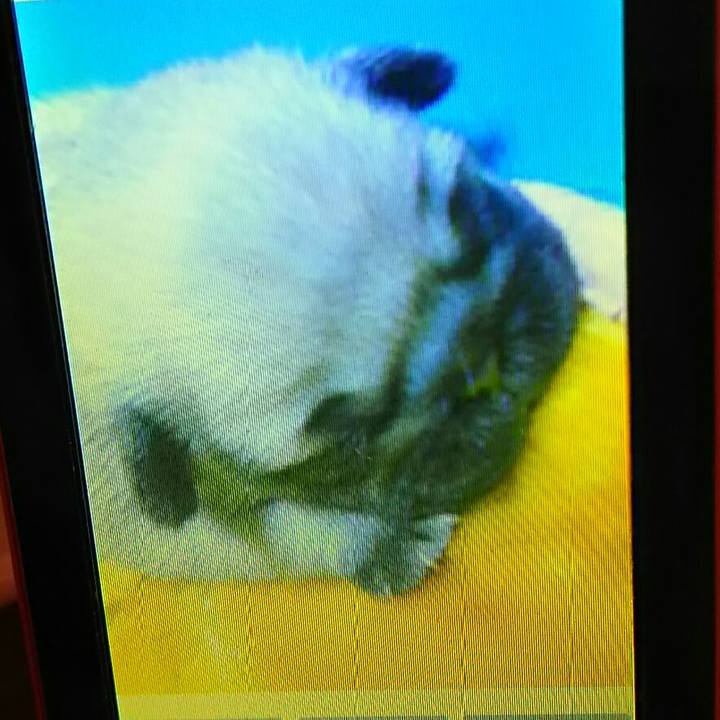 F1432604 92d4 4621 96b2 d19c4e99d300 1547218886600