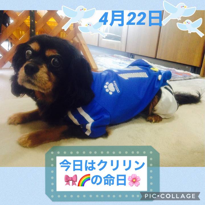 F1435294 dbf8 472a 86ac 75ee4649a347 1619085179033