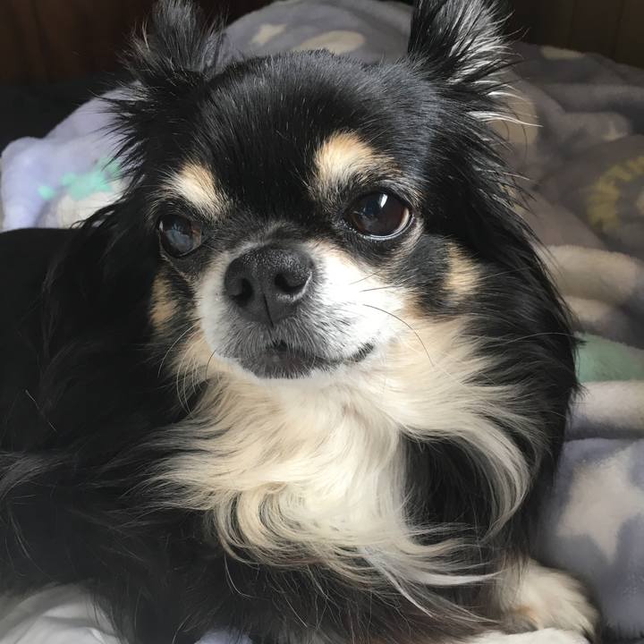 F14370d4 e238 442d b6da a0905b526cd0 1509532931232