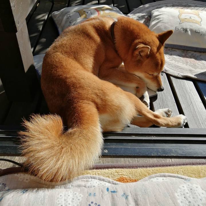 F14396c2 4888 4eee ab72 0ed849268a30 1580362191501