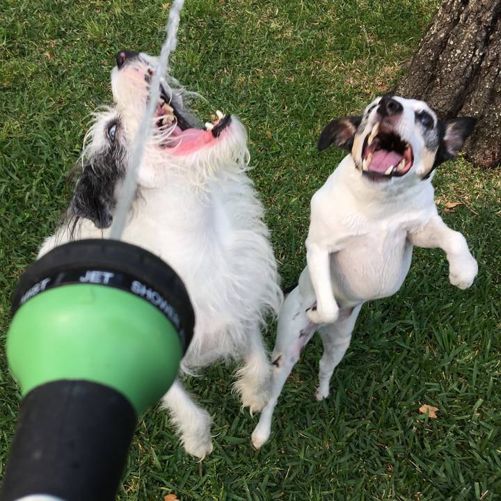 F1439adc 5b7d 4a10 9562 894d82f8dbe2 1553863619748