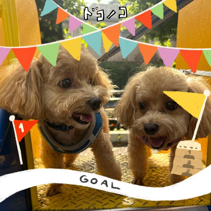 F143d6c4 0241 4a1e a324 4501379c1ede 1729297303232