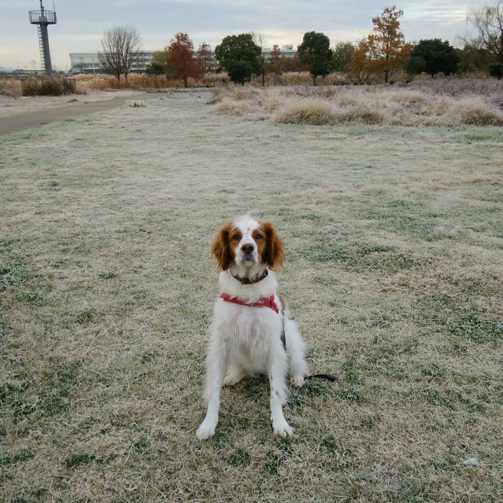 F143e8c5 5dd2 4b26 8ff4 1fe1047e2f79 1544486589150