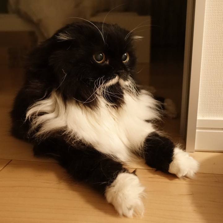 F143ef96 aa41 4386 9eaf 82343ca08628 1521297296186