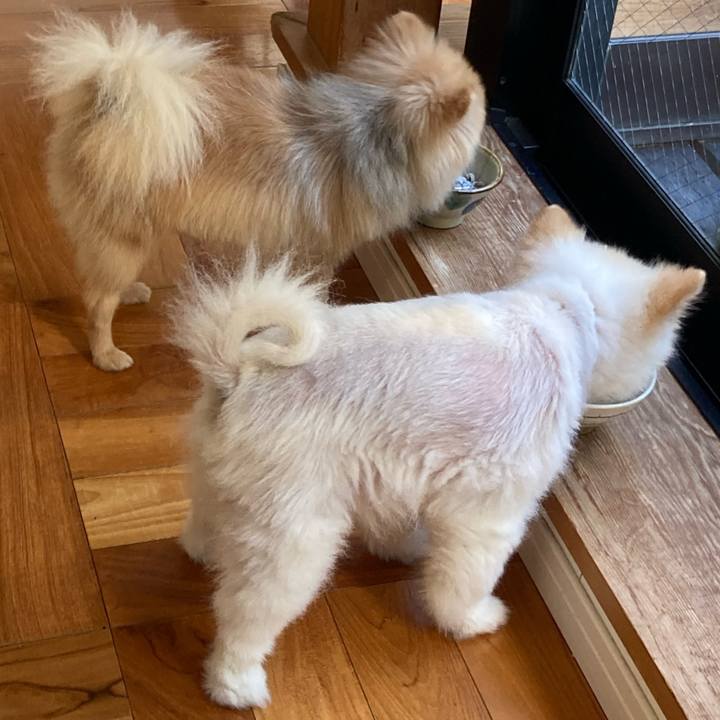 F143f180 f777 40ee 8a2d edbb15dea6a9 1659321026121