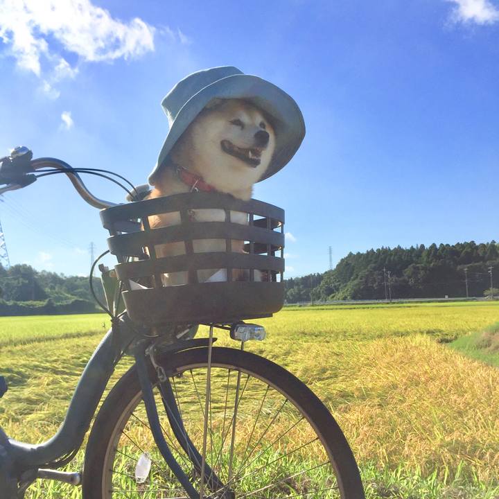 F1442629 0be8 423b 8dd4 344e2045d69a 1629441026861