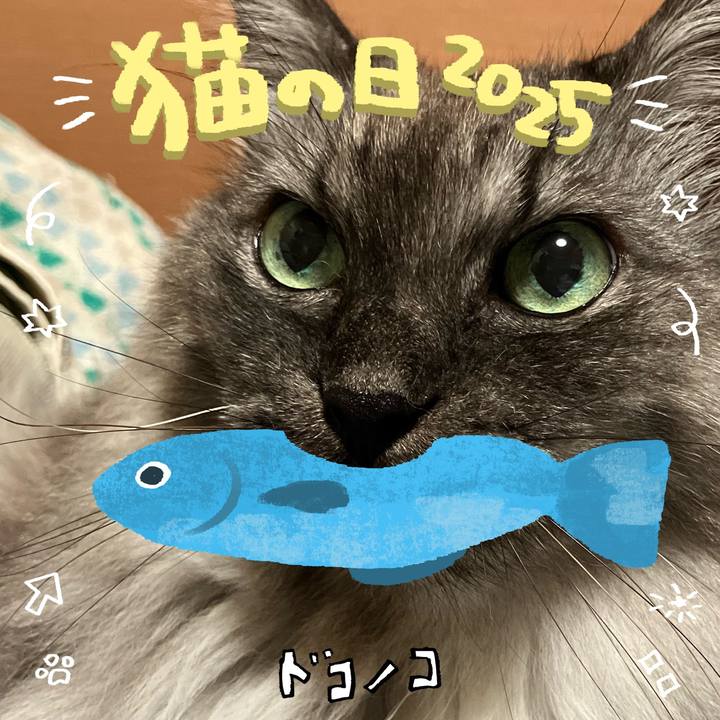 F1445f8f 743f 4b70 ac2d ff647f478f8c 1740105035518