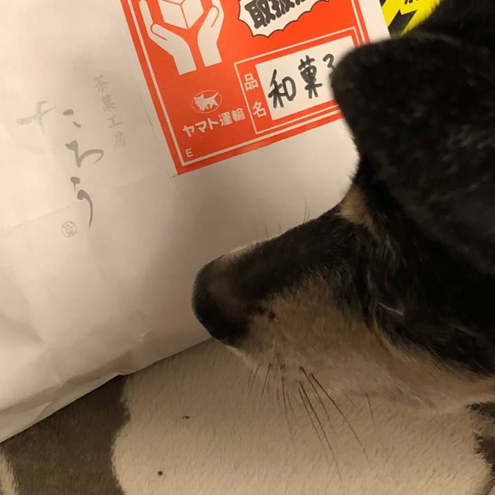 F14470a4 3541 4246 9376 e67247f5ce86 1516718420654