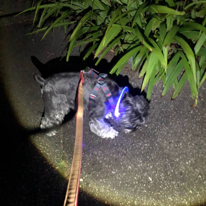 F1447261 7b58 488e 83a4 dfd2ff03df65 1662902871024