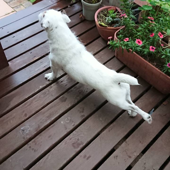 F1448e59 9a1d 4cce a36c 27e99ad9c754 1538349545184