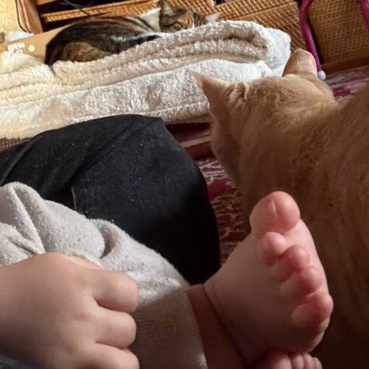 F1449361 86e7 4faa a54d 11e5ba2d750c 1765376758077