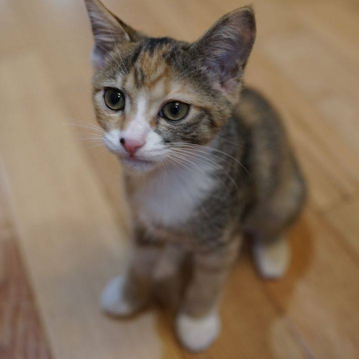 F14511ad a7c4 4352 80d8 3155f43563ab 1569335906712