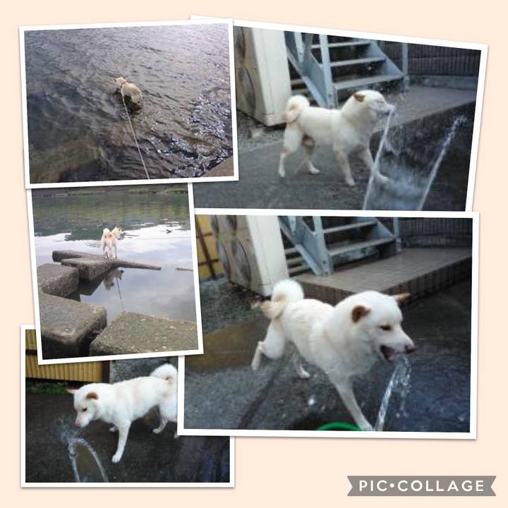 F1452305 baca 416f 8901 ff5f25bf6f11 1648651658663