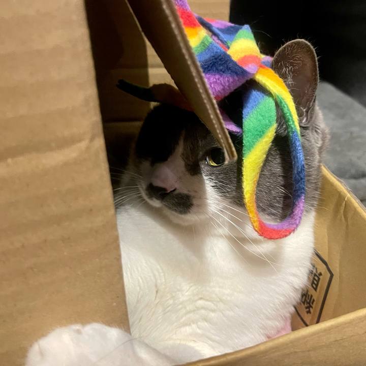 F14579bf 8459 438c bd35 820af9553592 1653571899398