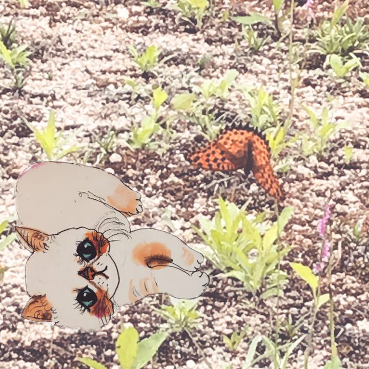 F145c689 2630 4514 b595 1536867dceec 1626435183808