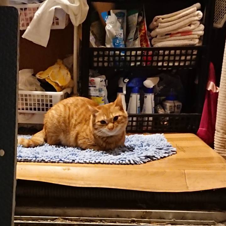 F145ca4f 1fb0 4457 909b f721d570c18c 1638014253303