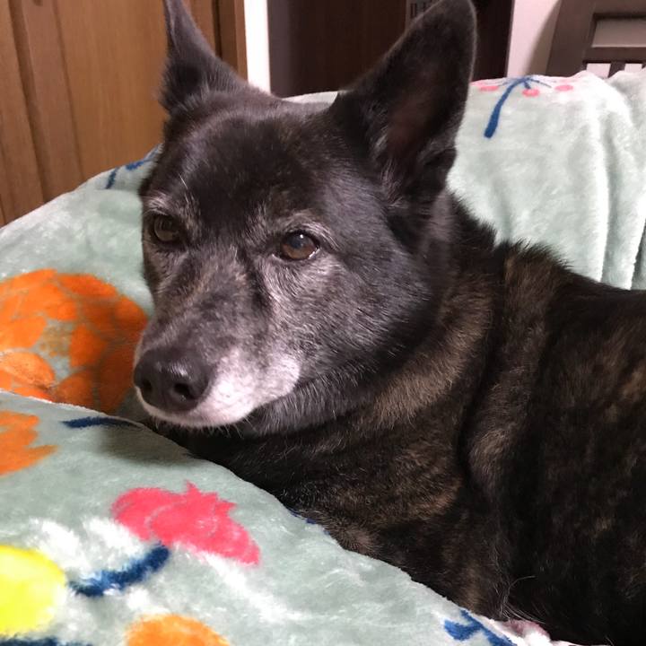 F145e293 4bac 4857 a3f6 28243c988c6f 1511347498067