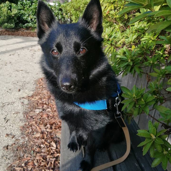 F1463282 5961 4d8b b9b5 2b85e3587a16 1616193736024