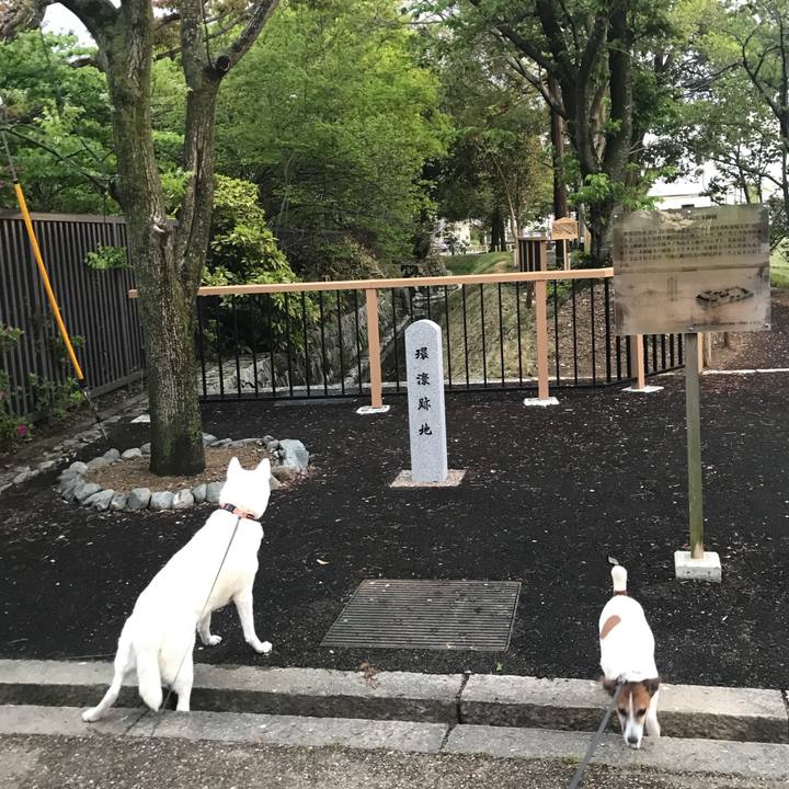 F14645bd 740e 4ad2 b5ff c1b56238bf0b 1523799611753