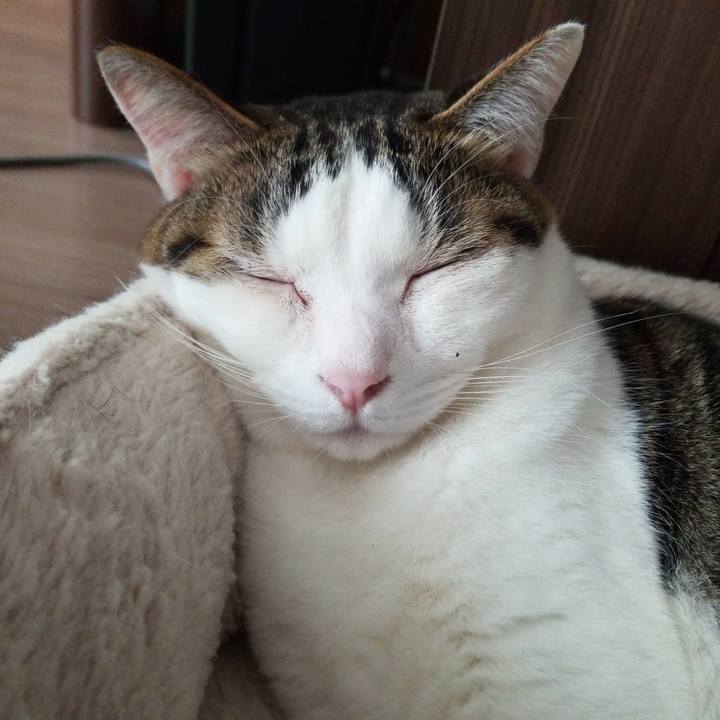 F1465127 c122 4a0c b13a b9ce8e5a9770 1586295725889